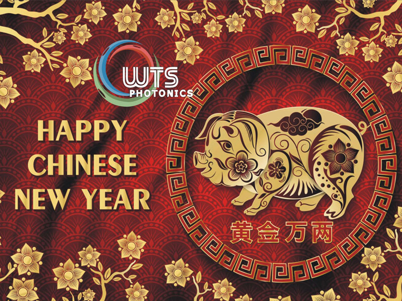 Frohes chinesisches Schweine-Neujahr 2019
